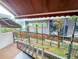 Radiance @ Bukit Timah (D21), Terrace #496898921
